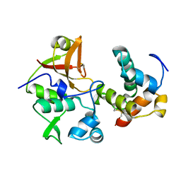 BU of 4bi8 by Molmil