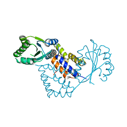 BU of 4bj1 by Molmil