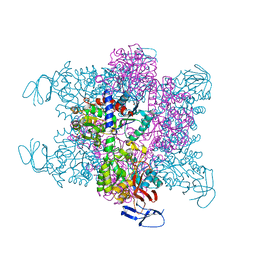 BU of 4bjh by Molmil