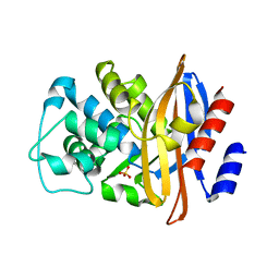 BU of 4blm by Molmil