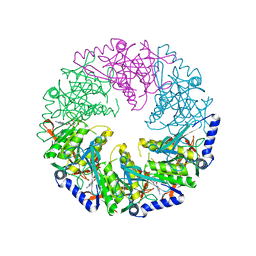 BU of 4bls by Molmil