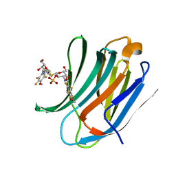 BU of 4bm8 by Molmil