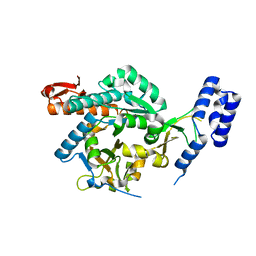 BU of 4bma by Molmil