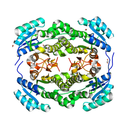 BU of 4bmn by Molmil