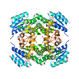 BU of 4bms by Molmil