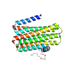 BU of 4bpd by Molmil