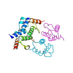 BU of 4bpg by Molmil