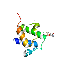 BU of 4bph by Molmil