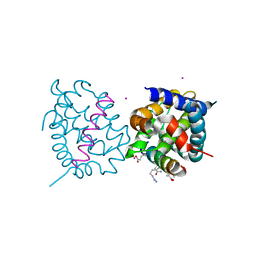 BU of 4bpi by Molmil