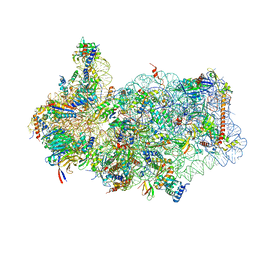 AU of 4bpn by Molmil