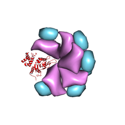 BU of 4bs1 by Molmil