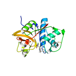 BU of 4bs6 by Molmil