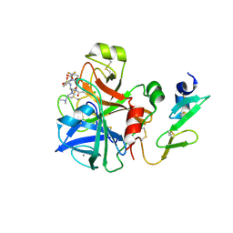 BU of 4bti by Molmil