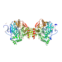 BU of 4btl by Molmil