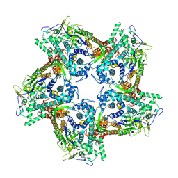 BU of 4btp by Molmil