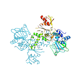 BU of 4bu2 by Molmil