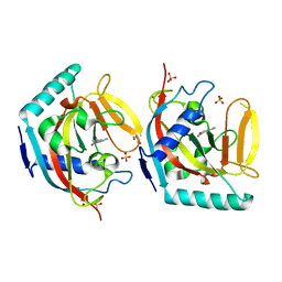 AU of 4bu6 by Molmil