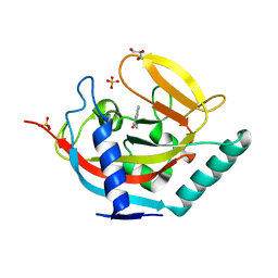 BU of 4bu6 by Molmil