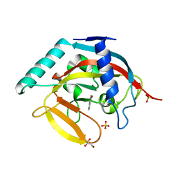 BU of 4bu8 by Molmil