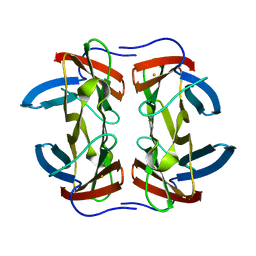 AU of 4bv1 by Molmil