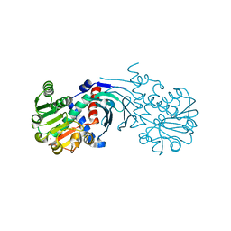 BU of 4bv8 by Molmil