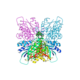 BU of 4bvt by Molmil