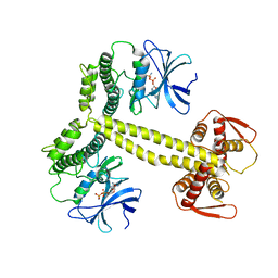 BU of 4bwp by Molmil