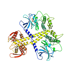 BU of 4bwx by Molmil