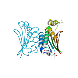 BU of 4bxi by Molmil