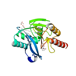 BU of 4c1d by Molmil