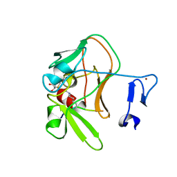 BU of 4c1q by Molmil