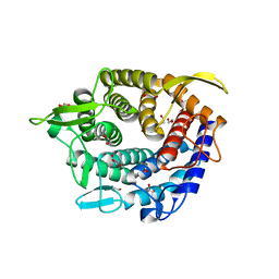 BU of 4c1s by Molmil