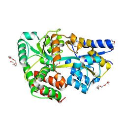 BU of 4c1u by Molmil