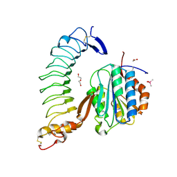 BU of 4c2a by Molmil