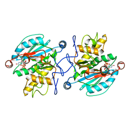 BU of 4c2s by Molmil