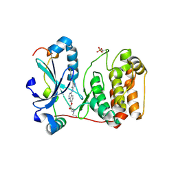 BU of 4c2v by Molmil