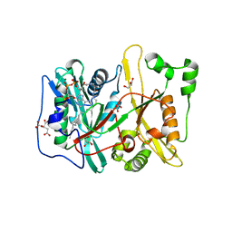 BU of 4c2y by Molmil