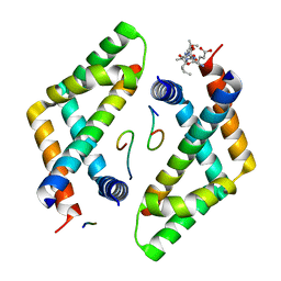 BU of 4c31 by Molmil