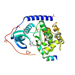 BU of 4c34 by Molmil