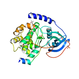 BU of 4c37 by Molmil