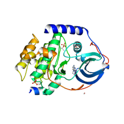 BU of 4c38 by Molmil