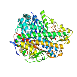 BU of 4c3o by Molmil