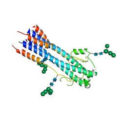 BU of 4c53 by Molmil