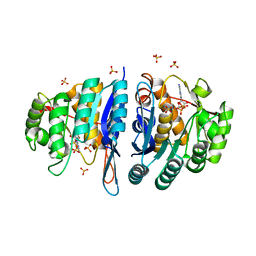 BU of 4c5k by Molmil