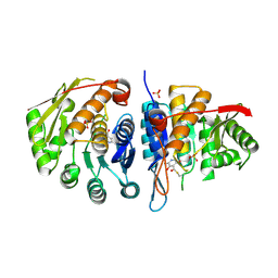 BU of 4c5l by Molmil