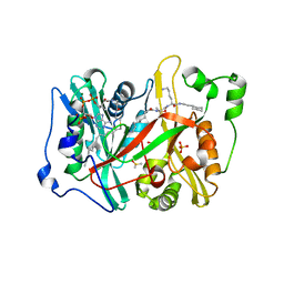 BU of 4c68 by Molmil