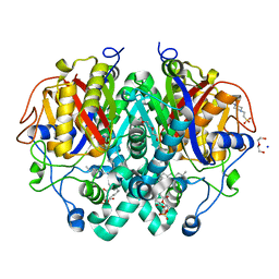 BU of 4c6w by Molmil