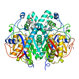 BU of 4c71 by Molmil