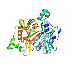 BU of 4c7i by Molmil