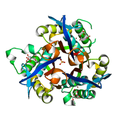 BU of 4c8i by Molmil